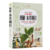 本草纲目 中医基础理论教材中药医学书 李时珍原著中医名著 健康无烦恼 中医入门书籍大全中医养生保健书 家中有本草 图解