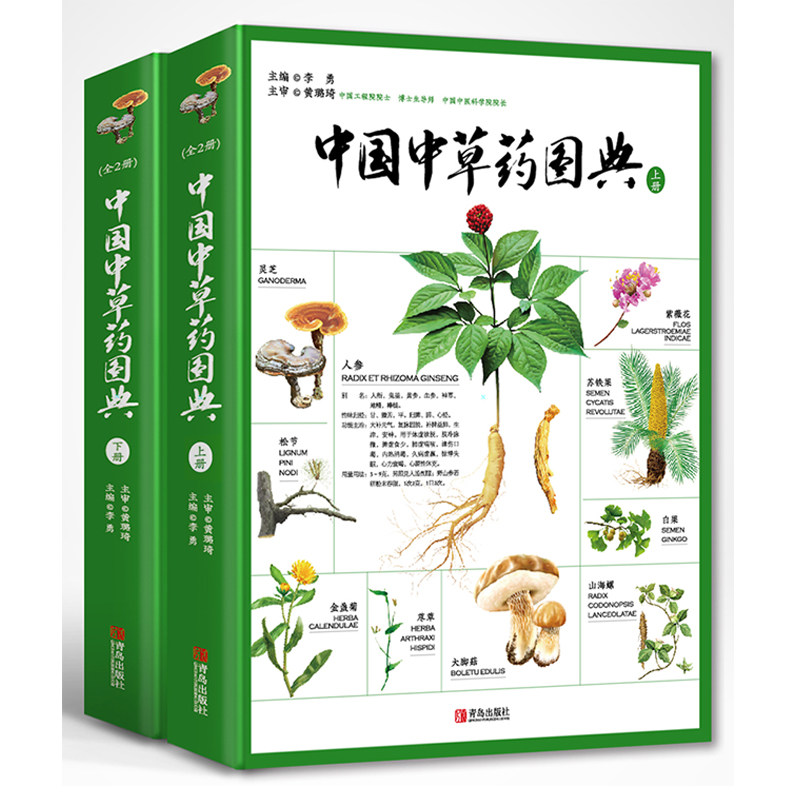 中国中草药图典2本精装珍藏版 李勇中国常用中药图谱精编彩色图解中草药材大全书介绍图解大全 中医草药识别图鉴