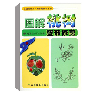 图解桃树整形修剪(建设社会主义新农村图示书系) 郭继英赵剑波姜全果树修剪桃树种植栽培技术种植管理果树种植栽培技术