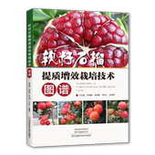 软籽石榴提质增效栽培技术图谱 种植书籍 软籽石榴栽培种植技术书籍土壤肥料水分保花保果管理整形修剪抗灾病虫害防治贮藏保鲜方法