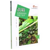 黄精 林业书籍 种植和加工利用实践 现代种植业实用技术系列鲍康阜广大读者黄精栽培技术黄精加工农业 黄精栽培与加工技术