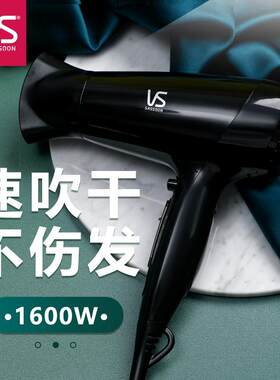 沙宣电吹风恒温护发家用吹风机