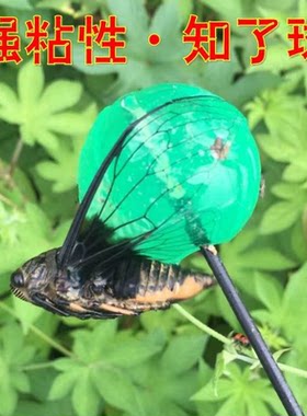粘知了夏季粘球捕蝉工具户外玩具