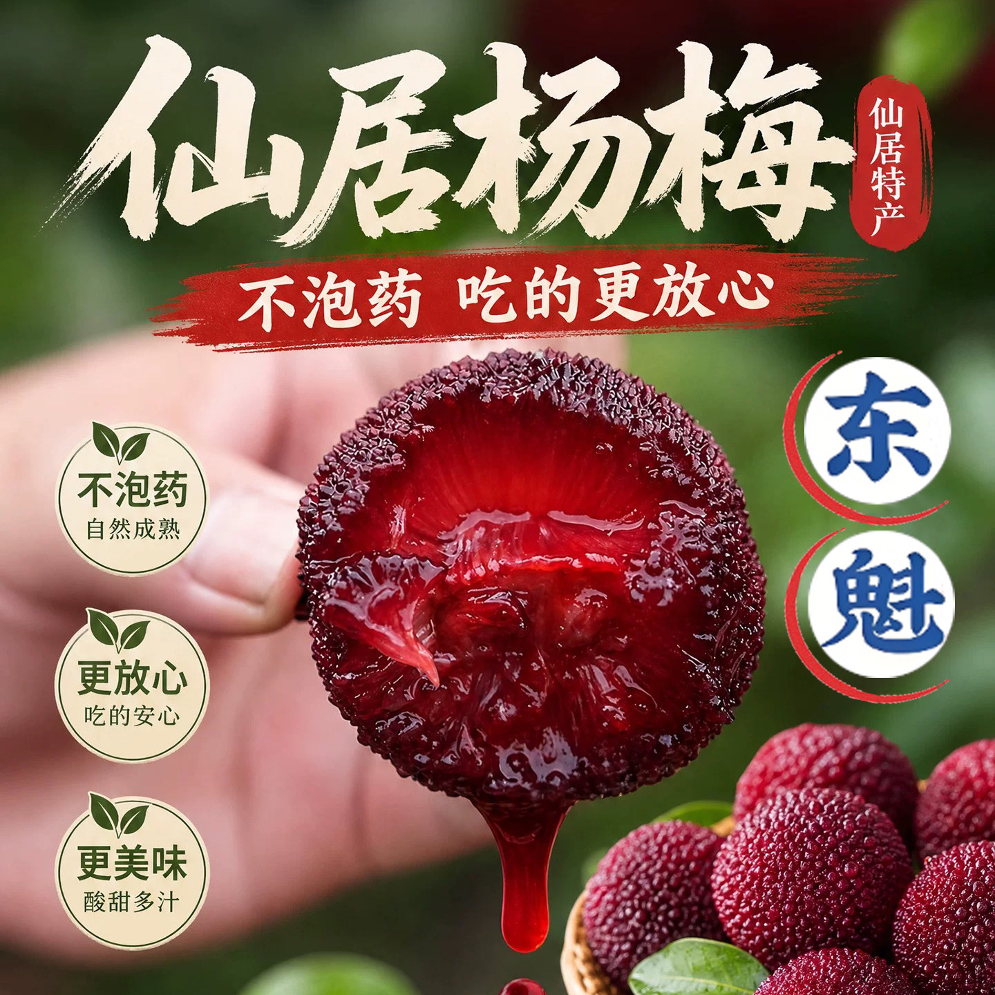 正宗仙居东魁杨梅现摘现发特级大果甜多汁新鲜孕妇水果泡酒礼盒装