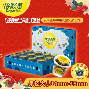 怡颗莓秘鲁蓝莓进口花香蓝莓甜口宝宝辅食孕妇儿童小杯装便携礼盒