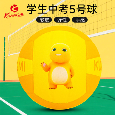 狂迷正版奶龙联名5号排球