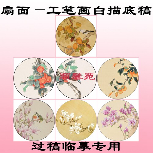 圆形线描柿子兰花工笔画