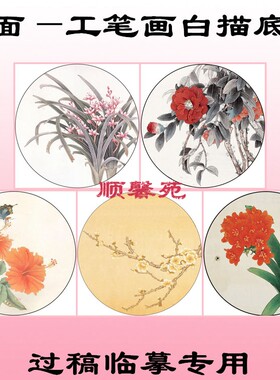 工笔画白描底稿圆形扇面梅花兰花