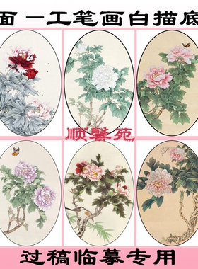 MT20牡丹花鸟椭圆形扇面工笔画白描底稿定制线描国画稿条幅