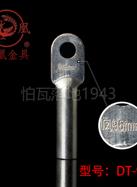 正品凤凰镀锡堵油式铜接头 DT-95MM2 铜鼻子 接线端子 B级 一只价