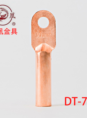 凤凰酸洗堵油铜接头DT-70MM2平方铜鼻子 接线端子 B级 一只价