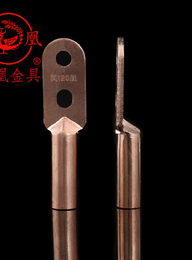 凤凰国标A级双孔铜接头DT-120MM2铜鼻子双眼铜接线端子 一只