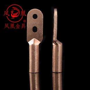 凤凰国标A级双孔铜接头DT-185MM2铜鼻子双眼铜接线端子 一只