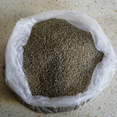 王小帮五谷杂粮农家黑小米山西特产2025年新鲜全谷物小米