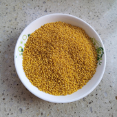 临县黄小米山西特产农家五谷全谷物杂粮坐月子煮粥2025新碾鲜小米