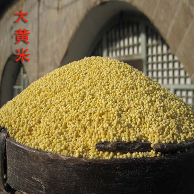 王小帮五谷杂粮大黄米糯小米软米糜子黍2025年包粽子全谷物软黄米,粮油调味/速食/干货/烘焙,糯米,淘宝优惠券,粉丝福利购,淘宝优惠卷