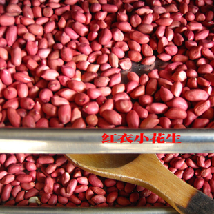 王小帮红衣小花生米2025秋收四粒红衣新花生米农家自产晒干
