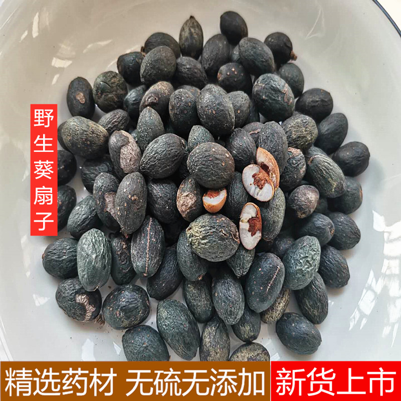 野生葵扇子中药材包邮