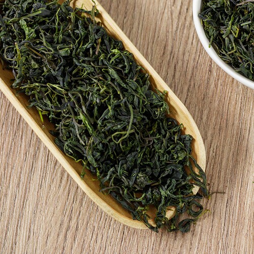 毛冬青茶正品新货500g野生特级嫩芽养生绿茶