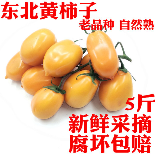 黄柿子西红柿新鲜草莓蔬菜特产
