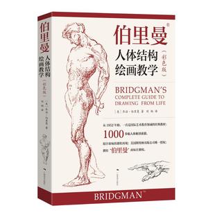 广西美术出版 伯里曼人体结构绘画教学 人物模型素描速写临摹美术结构教程书 人体结构造型手绘技法 社 彩色版