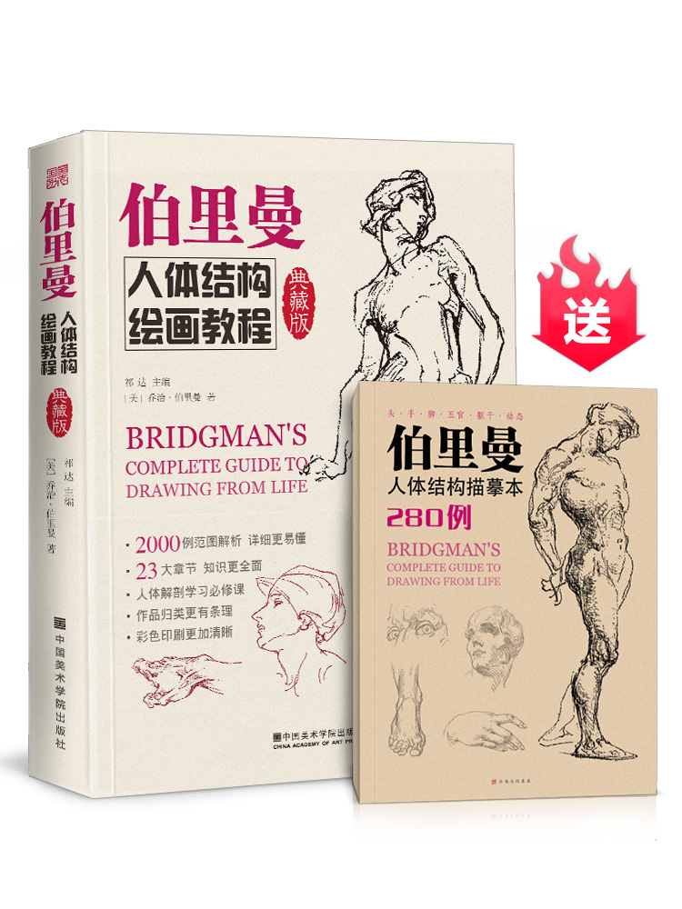 【13年老店】典藏版伯里曼人体结构绘画教程 正版人物速写入门基础