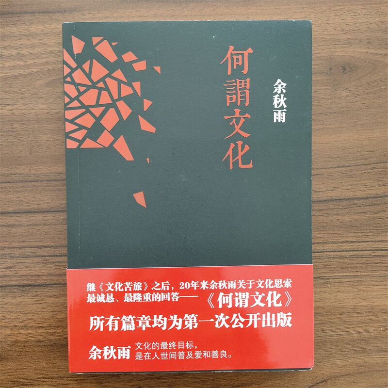 【13年老店】何谓文化  余秋雨  长江文艺出版社   9787535461162正版