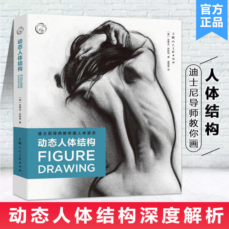 【13年老店】动态人体结构迪士尼导师教你画人体姿态 (美)史蒂夫·休斯顿(Steve Huston)工艺美术书类关于有关方面的了解知识书籍属于什么档次？