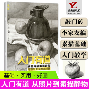 敲门砖入门有道从照片到素描静物美术初学教程基础知识全效教学单体组合静物画法结构临摹初学自学零基础技法教程书 13年老店