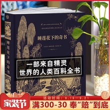 【满2件减2元】睡莲花下的奇书 以色列著名艺术家斯维特拉娜多洛舍娃送给人类的奇妙礼物 用文字和图画组成的精灵世界北京联合出版