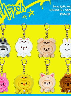 Stray Kids 世巡dominATE celebrATE快闪李龙馥钥匙扣亚克力周边