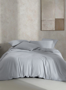 nineer外贸高档简约60s长绒棉超大全棉50x80酒店风床上被套四件套
