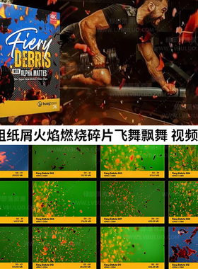 4K视频素材-53组纸屑火焰燃烧碎片飞舞飘舞特效动画 Fiery Debris