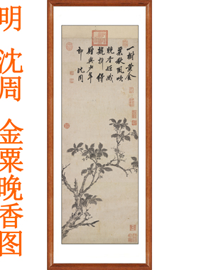 沈周金榜题名挂画金粟晚香图卷轴