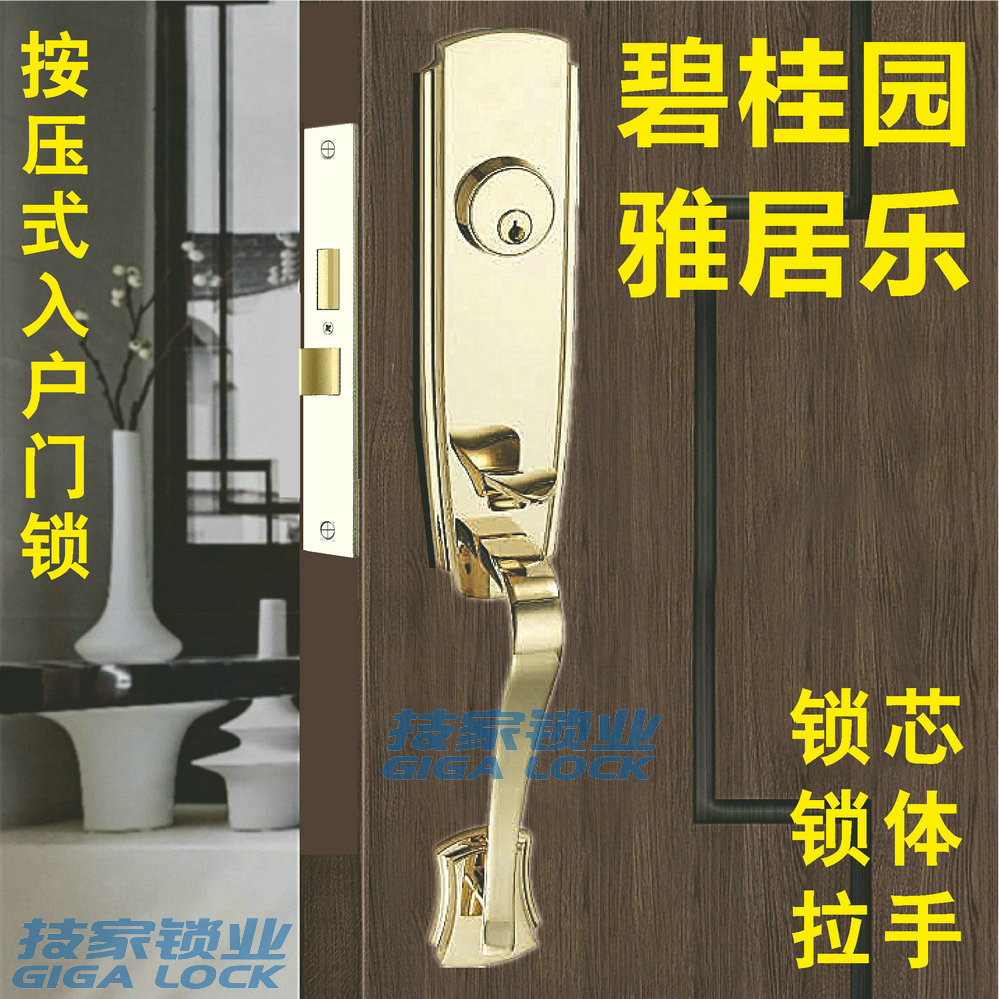 碧桂园锁芯雅居乐入户门大拉手锁