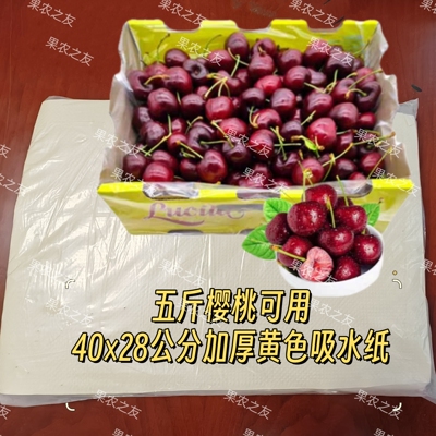 生鲜葡萄吸水纸厂价批发