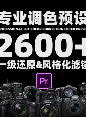 PR调色滤镜带预览的中文灰片转换LUT预设相机HLG/slog/cine风格化