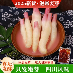 2025农家自制爽口四川土坛泡酸辣嫩仔姜芽爽口泡菜泡嫩姜