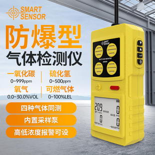 希玛泵吸式一氧化碳可燃有毒气体浓度超标报警器四合一气体检测仪