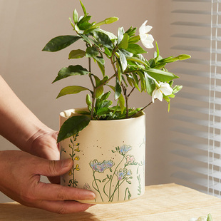 手作陶瓷花钵釉下彩手绘花盆阳台家用客厅摆件家用吊兰多肉花钵