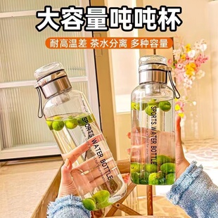 新款夏季网红大容量顿顿玻璃杯便携防摔耐高温水杯茶水分离泡茶杯