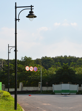 户外新农村市政工程5/6/8/9/10米LED接电220V景观高杆路灯庭院灯