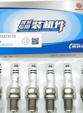 潍柴原厂火花塞国五国六天然气发动机1003373173