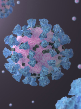 Coronavirus 病毒模型04200615三维图纸（3DMAX格式）