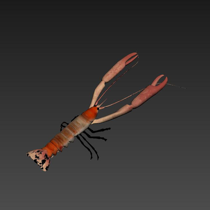 龙虾2带贴图版效果逼真（3DMAX和OBJ格式）