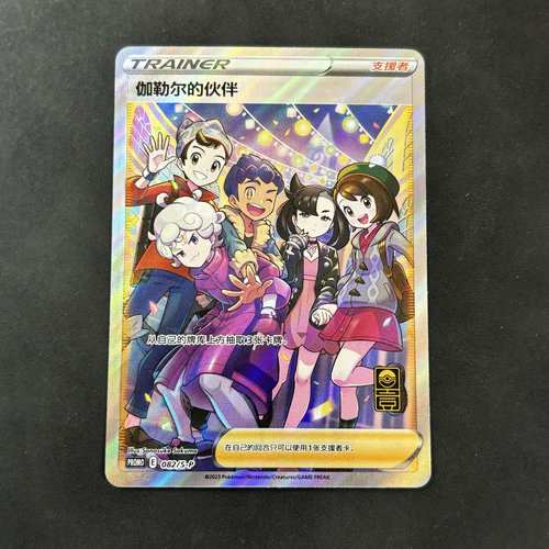 宝可梦 简中 PTCG 一周年礼盒 伽勒尔的伙伴 小伙伴 高罕