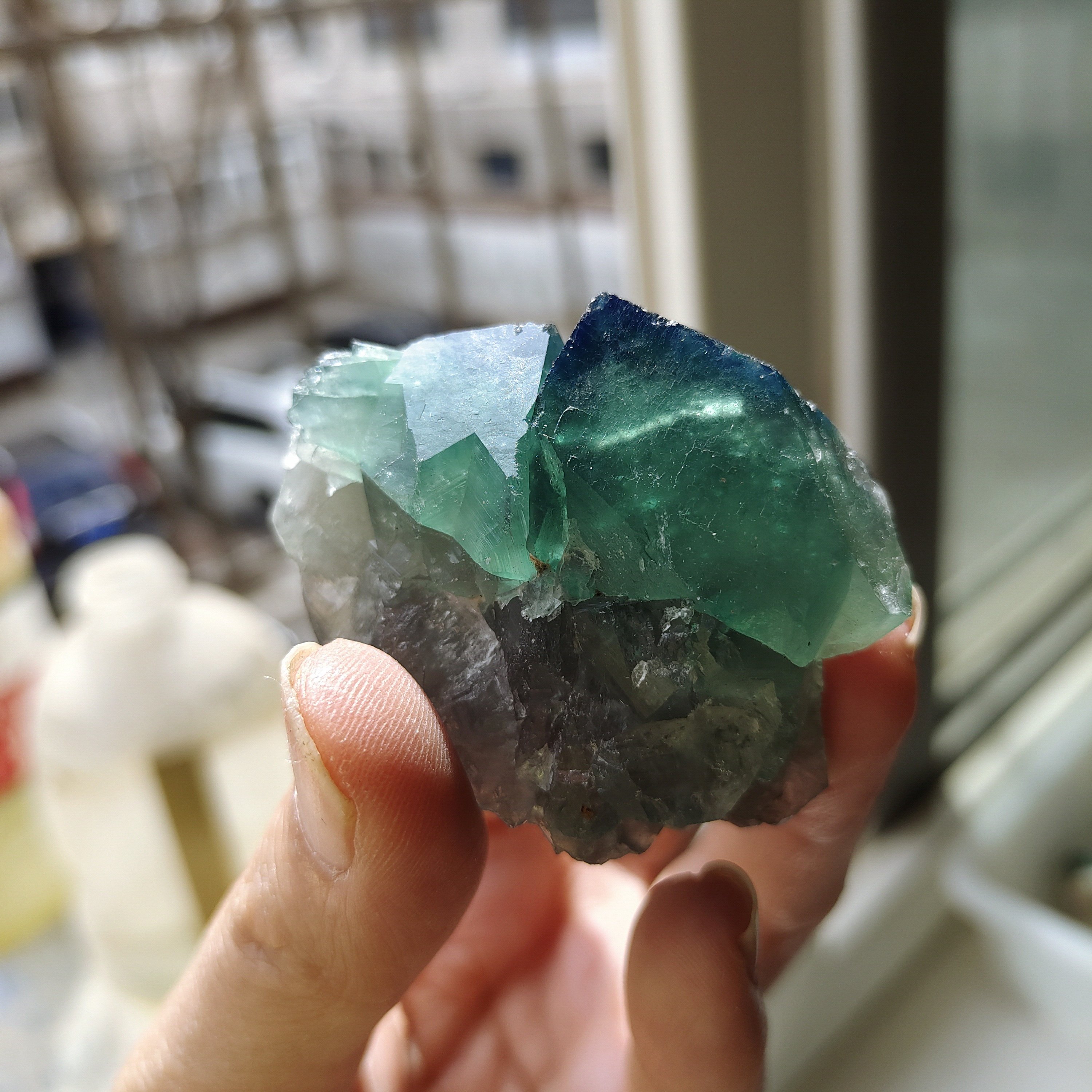 变色日光萤石原石天然矿物晶体标本盒子猫矿石能量石标本科普毕业