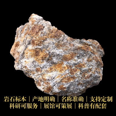眼球状构造变质岩三大岩样品标本科研地质中小学博物馆科普教具
