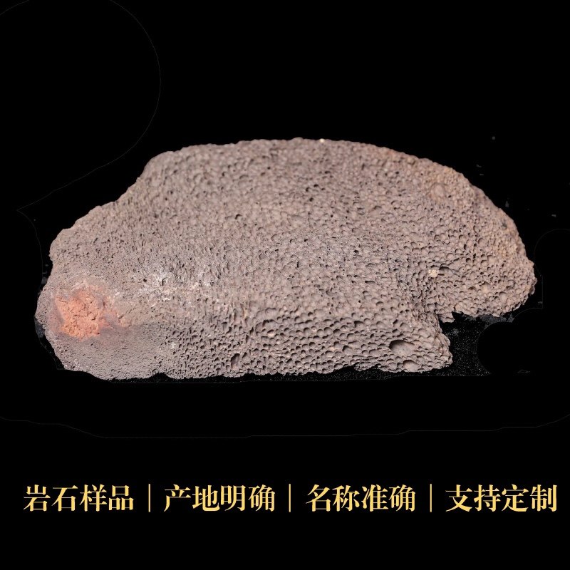 浮石岩岩浆岩石三大岩样品标本矿物科研地质中小学博物馆科普教具