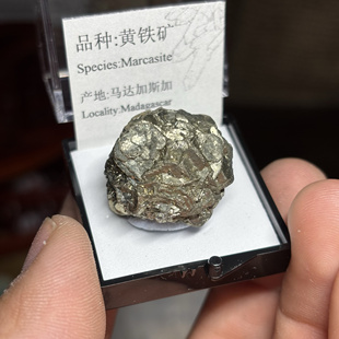 黄铁矿结核天然矿物晶体标本盒子矿猫矿石原石宝石能量石晶石教学